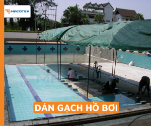 Dán gạch Hồ bơi 5