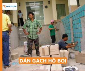 Dán gạch Hồ bơi 7