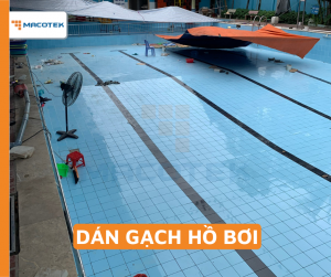 Dán gạch Hồ bơi 8